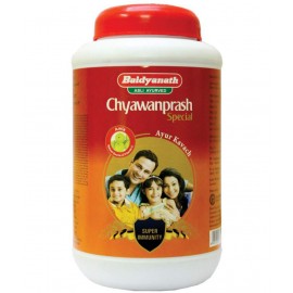 Baidyanath Chyawanprash Special Paste 2 kg Pack Of 1