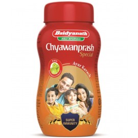 Baidyanath Chyawanprash Special Paste 500 gm Pack Of 1
