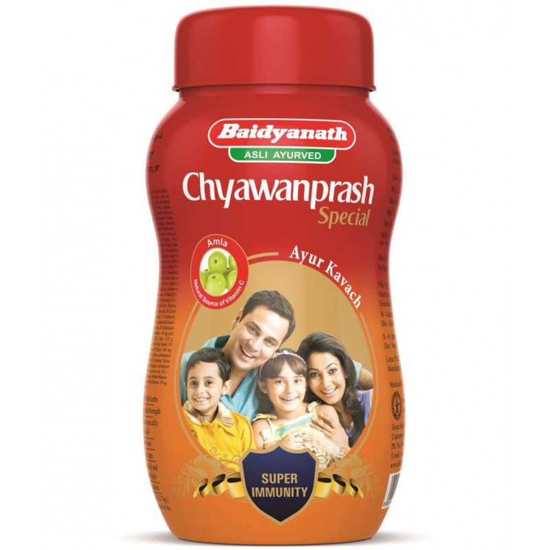 Baidyanath Chyawanprash Special Paste 500 gm Pack Of 1