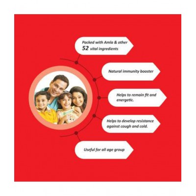 Baidyanath Chyawanprash Special Paste 500 gm Pack Of 2