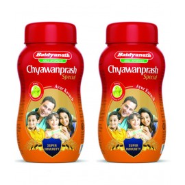Baidyanath Chyawanprash Special Paste 500 gm Pack Of 2