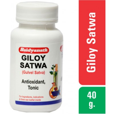 Baidyanath Giloy Satwa Antioxidant 40gm Powder (Pack Of 2)