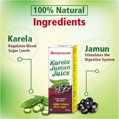 Baidyanath Karela Jamun Juice (1L) Liquid 1 L Pack of 1