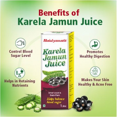 Baidyanath Karela Jamun Juice (1L) Liquid 1 L Pack of 1