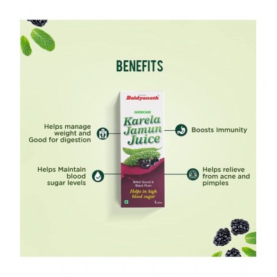 Baidyanath Karela Jamun Juice Liquid 1 l Pack Of 1