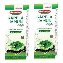 Baidyanath Karela Jamun Juice Liquid 1 l Pack Of 2