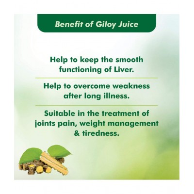 Baidyanath Natural Giloy Juice Liquid 1 l Pack Of 2