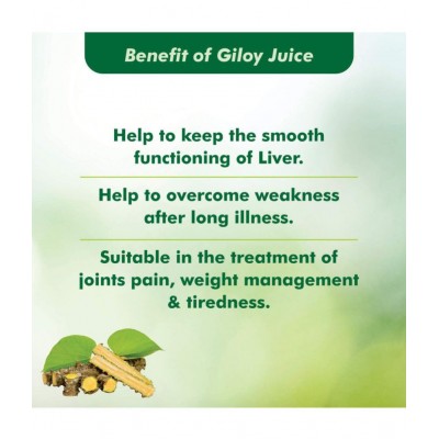 Baidyanath Natural Giloy Juice Liquid 1500 ml Pack Of 2