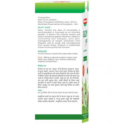 Baidyanath Natural Giloy Juice Liquid 2 l Pack of 2