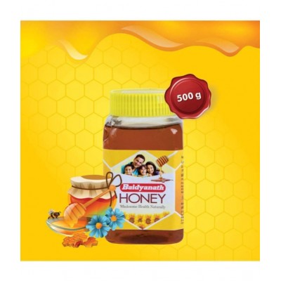 Baidyanath Pure Honey 500 gm (Pack Of 2)