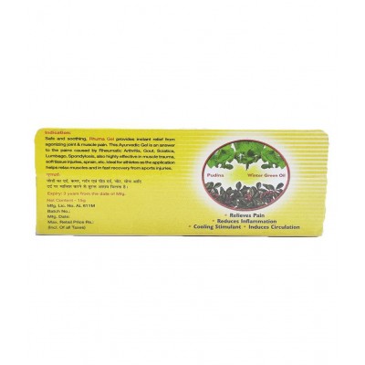 Baidyanath Rhuma Gel | Pack of 3 Gel (15 g) Gel 15 gm Pack of 3