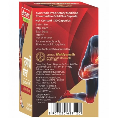Baidyanath Roupya Bhasma Powder 1 gm Pack of 1