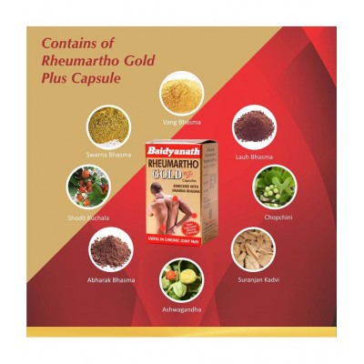 Baidyanath Roupya Bhasma Powder 1 gm Pack of 1
