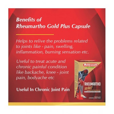 Baidyanath Roupya Bhasma Powder 1 gm Pack of 1