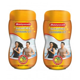 Baidyanath Sugarfree Chyawanprash- 1KG-PO2 (2 kg) Paste 1 kg