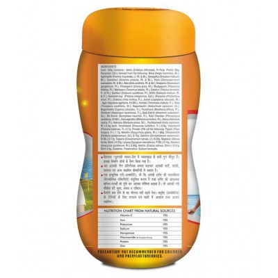 Baidyanath Sugarfree Chyawanprash | (500 g) Paste 500 gm