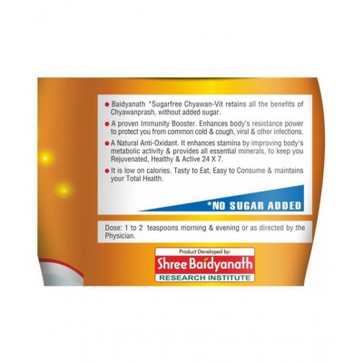 Baidyanath Sugarfree Chyawanprash | (500 g) Paste 500 gm
