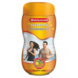 Baidyanath Sugarfree Chyawanprash | (500 g) Paste 500 gm