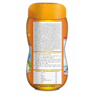 Baidyanath Sugarfree Chyawanprash (1 kg)