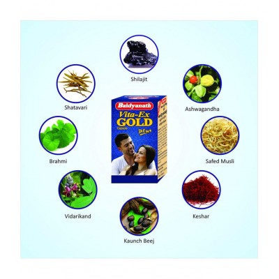Baidyanath Vita Ex Gold Plus Shilajit Capsule 20 no.s (Pack of 1)