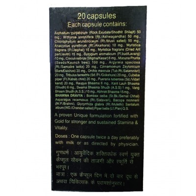 Baidyanath Vita Ex Gold With Pure Gold (40) Capsule 20 no.s Pack of 2