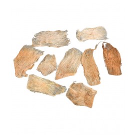 Banana Stem Wicks - Set of 9 Banana Stem Wicks - Set of 9