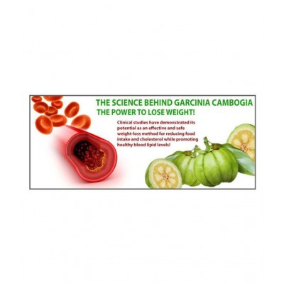 BeSure Garcinia Cambogia Fat Burner Caps with AloeVera-15 800 mg Fat Burner Capsule