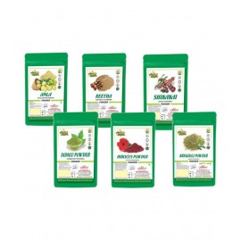 Bhpi Bharat Amla Shikakai Reetha Indigo Bhringraj Powder 600 gm