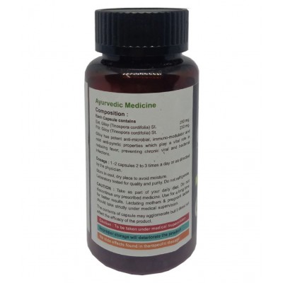 Bhpi Bharat Gilloy (Anti-Pyretic & Immunomodulator) Capsule 60 no.s Pack Of 2