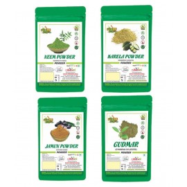 Bhpi Bharat Neem Karela Jamun Gudmar (100gm Each) Powder 400 gm