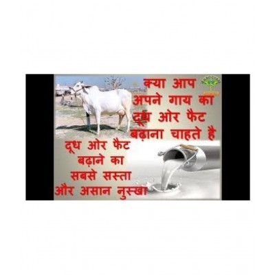 BioFit by Netsurf Organic 500 gm