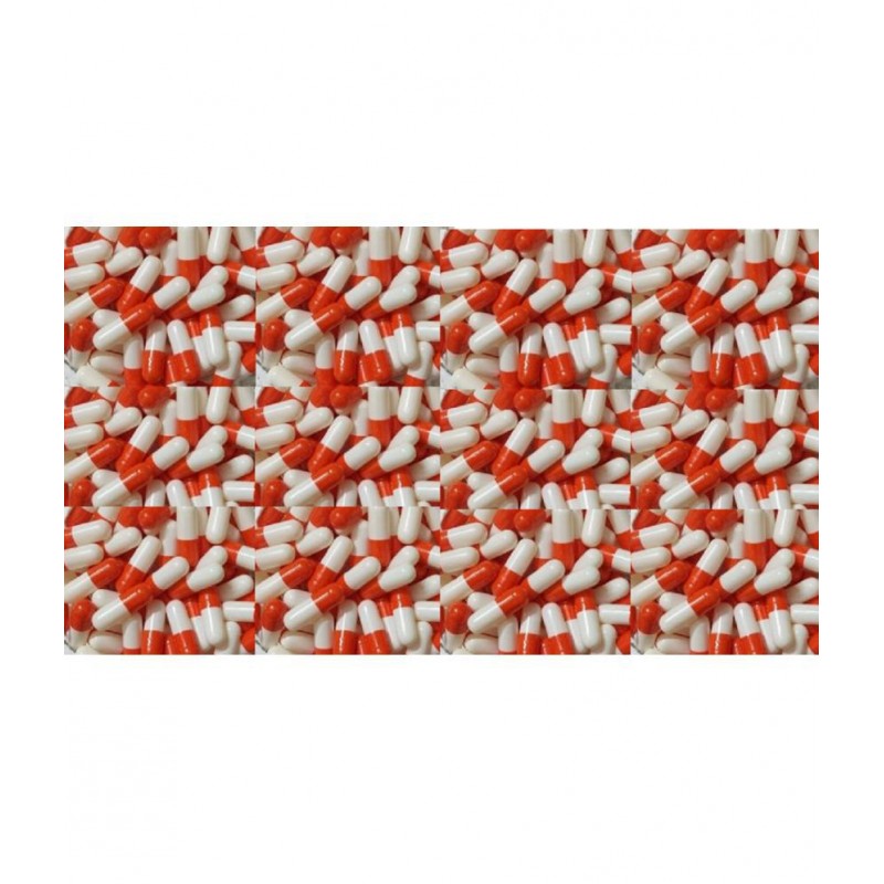 BioMed Empty Capsules  0 Orange/white Capsule 500 no.s Pack Of 1