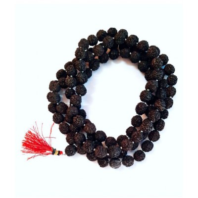 Black 5 Mukhi Rudraksha 8mm