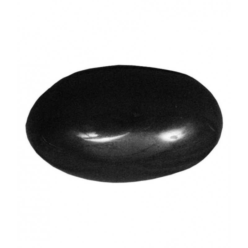 Black Saligram