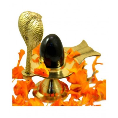 Black Shiva Ling / Shivling