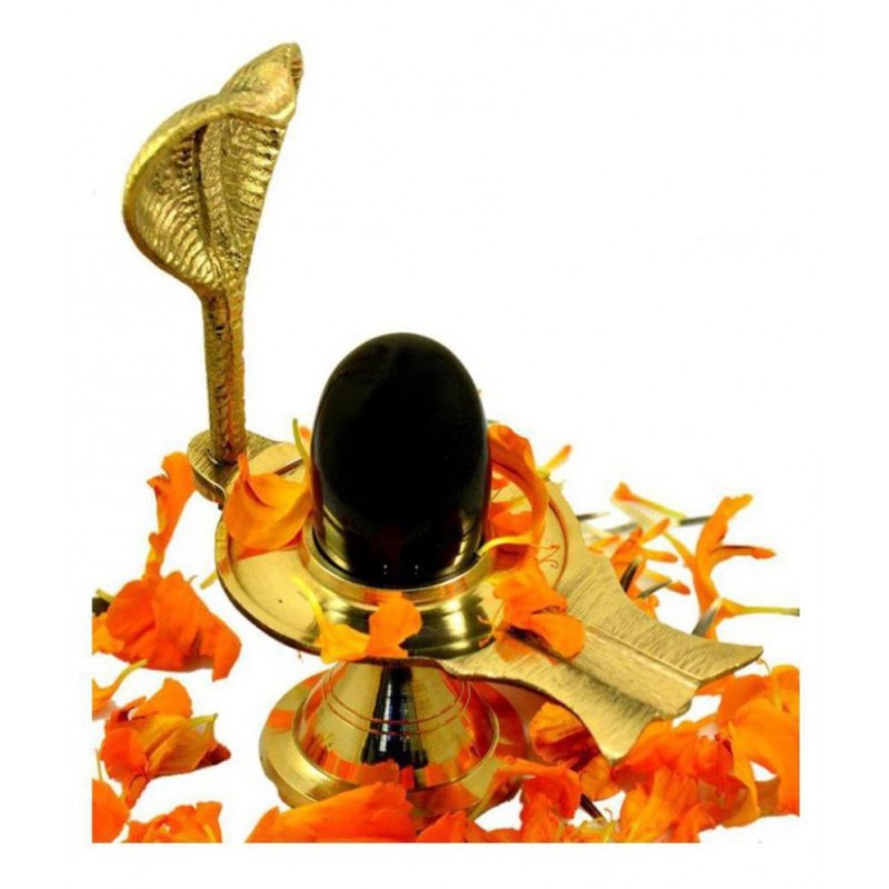 Black Shiva Ling / Shivling