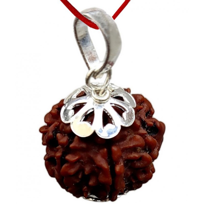 CHAITANYA XPOT - 5 Mukhi Rudraksha Bead ( Pack of 1 )