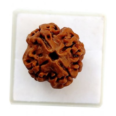 CHAITANYA XPOT - Wood Religious Jewellery ( Pack of 1 ) CHAITANYA XPOT - Wood Religious Jewellery ( Pack of 1 )