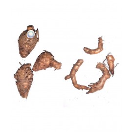 CHEZEL® Black Turmeric Kali haldi kappu manjal 7 Pieces