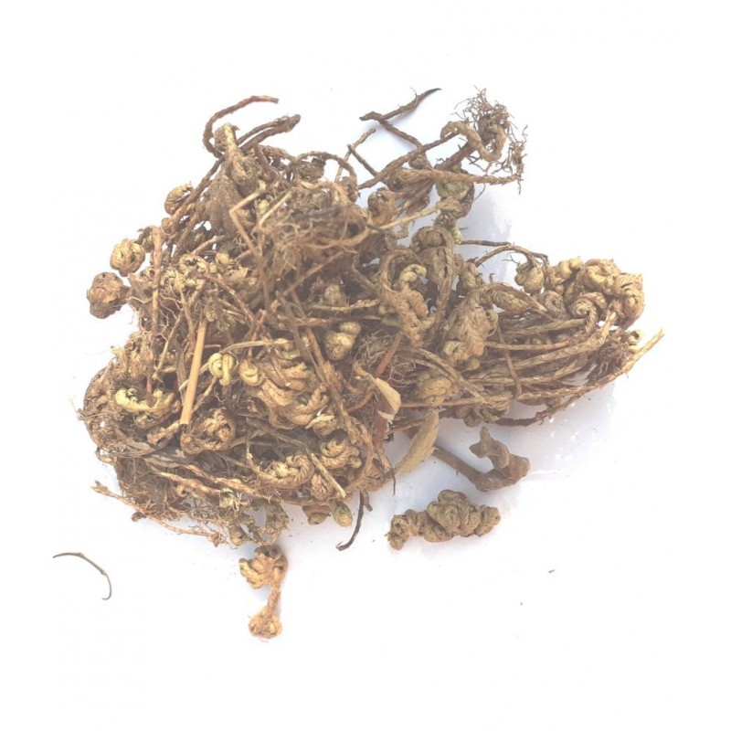 CHEZEL Sanjivani booti Laxman booti Raw Herbs 50 gm Pack Of 1