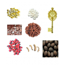 CHEZEL® White Cowrie Yellow Cowry Lotus Seed Rakt gunja (11 Pcs) Kamiya Sindoor(5 GMS) Kali haldi Dry (5pcs) 5 mukhi rudraksha and Kuber kunji 1 pcs