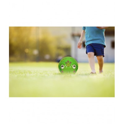 Chocozone Frog Print Synthetic Leather Football for Kids Soccer Ball for Toddlers Toys for 6 years old ( Size 2)