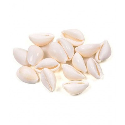 Combo of Red Gunja/Lal Chirmi Beej/Kamal Gatta & White Kauri & Gomti Chakra (11 pcs Each) for Puja, Worship, Protection for Diwali & Laxmi Pooja by Dorvik Enterprises