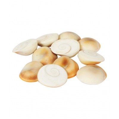 Combo of Red Gunja/Lal Chirmi Beej/Kamal Gatta & White Kauri & Gomti Chakra (11 pcs Each) for Puja, Worship, Protection for Diwali & Laxmi Pooja by Dorvik Enterprises