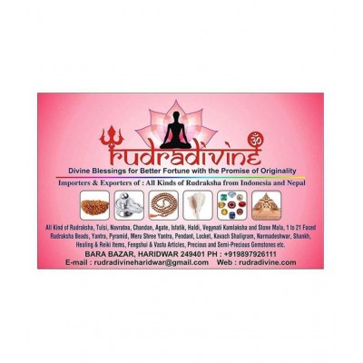 Conch Shell Loud Blowing Baynavarti Vamavarti Shankh for Pooja Article Aarti Instrument 5.5 inch with brass stand