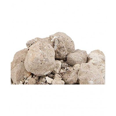 DDRS Banslochan Asli Bambusa Arundinacea Raw Herbs 50 gm Pack Of 1