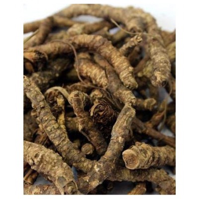 DDRS Kutki | Katuki |  Picrorhiza Kurroa Raw Herbs 50 gm Pack Of 1