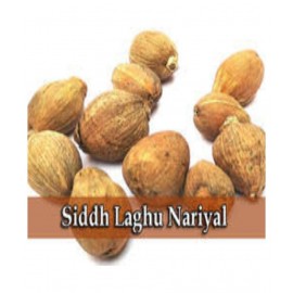 DEV RATNA KENDRA LAGHU NARIYAL FOR RELIGIOUS PURPOSES