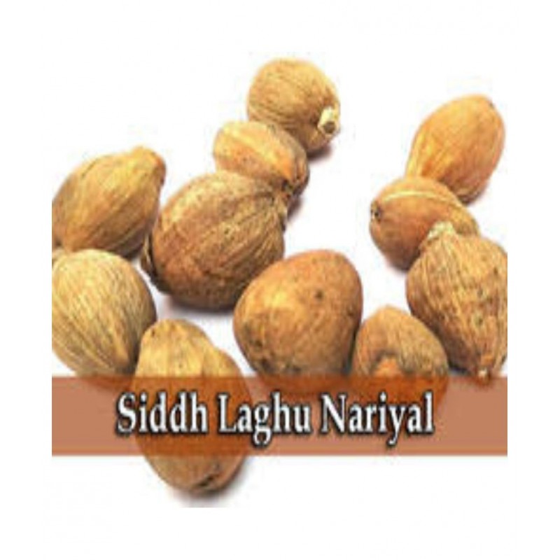 DEV RATNA KENDRA LAGHU NARIYAL FOR RELIGIOUS PURPOSES