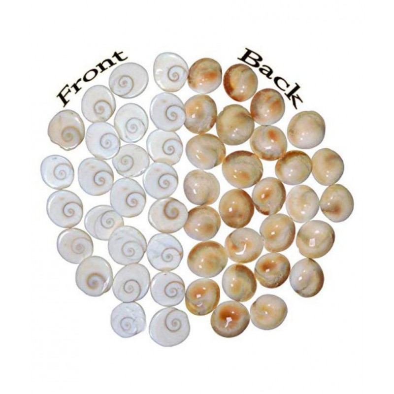 DEV RATNA KENDRA ORIGINAL 21 GOMTI CHAKRA FOR RELIGIOUS AND SPIRITUAL PURPOSES DEV RATNA KENDRA ORIGINAL 21 GOMTI CHAKRA FOR RELIGIOUS AND SPIRITUAL PURPOSES